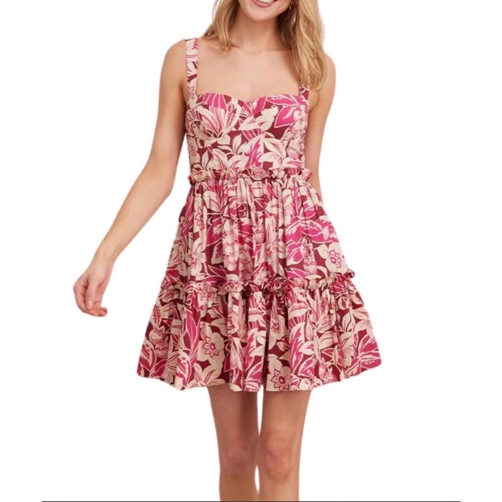 Cara Cara Audrey Leafy Linen Minidress Pink Burgundy Floral Tiered Size 10